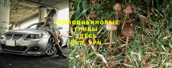 прущая мука Бородино