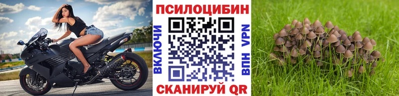 Галлюциногенные грибы Psilocybine cubensis  гидра вход  Нытва 